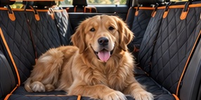 BackSeat XL
