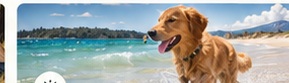 Playa y escapadas
